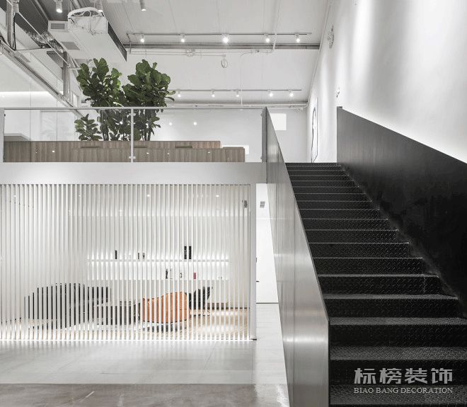 辦公室植物擺放植物有哪些，怎么擺放比較好？